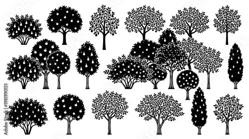 Agriculture Nature Black and White Fruit Tree Silhouettes Vector Collection