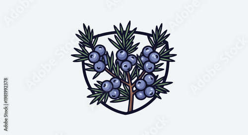 Stylized sprig of juniper with blue berries inside a shield outline