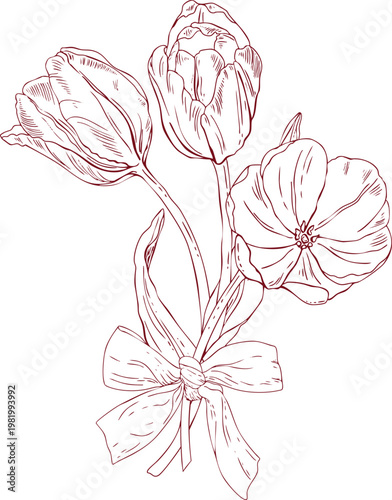Bouquet of vector tulips tied with a bow, hand-drawn line drawing, scribbles, linear art