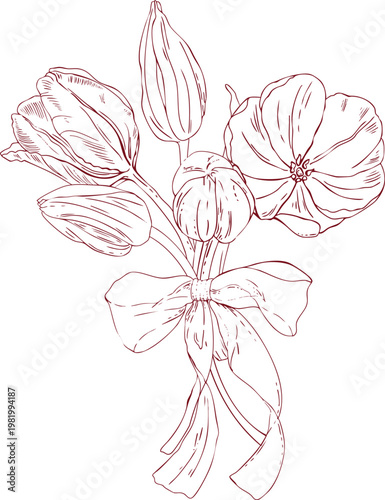 A bouquet of vector tulip buds and flowers tied with a bow, hand-drawn line art, scribbles, and linear art