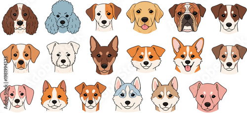 Cute dog faces collection with different breeds cartoon pet portraits colorful flat style animal illustration set isolated on white