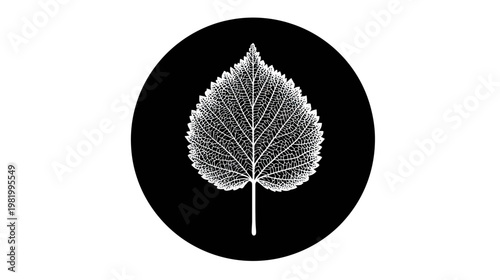 Stylized white leaf with intricate details, set within a black circle on a white background