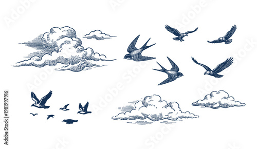 Birds in flight and clouds sky elements vintage engraving set
