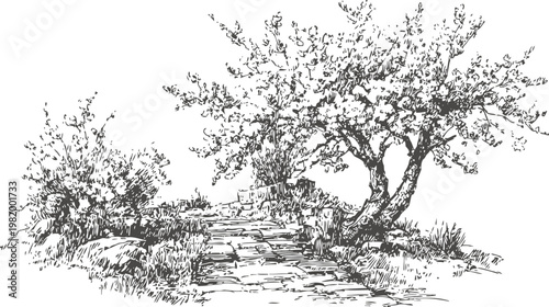 Rustic pathway with blossoming tree and bushes sketch countryside stone trail with natural vegetation illustration