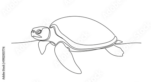 Turtle swimming in the ocean water.