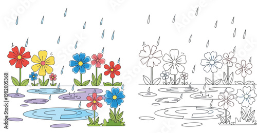 Garden Flowers in Rain with Puddles Illustration Set, Colorful and Black and White Line Art for Children Coloring Book, Spring Weather Nature Scene Cartoon Vector