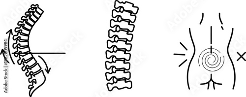 Vector of Human spine anatomy curvature and abdominal pain symbol as black and white vector icons for medical education