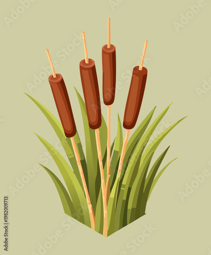 Tall reeds plant isometric design, water pond nature element, landscape aquatic graphic for game environmental design and project layout