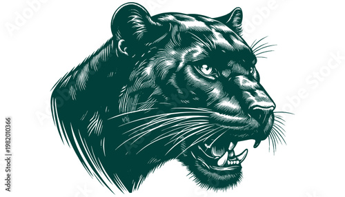 Panther Vector