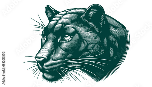 Panther Vector