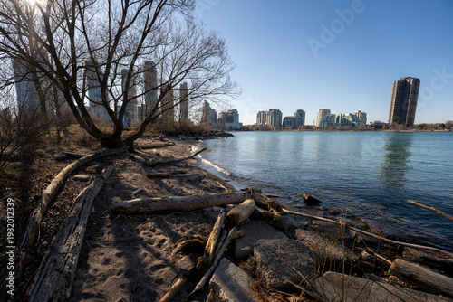 Canvas Print Driftwood scattered along a natural shoreline at Humber Bay Park with Lake Ontar