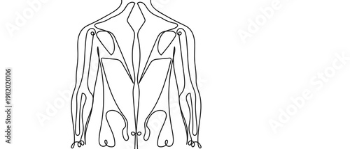 continuous line drawing of Back muscle anatomy vector illustration Editable stroke.