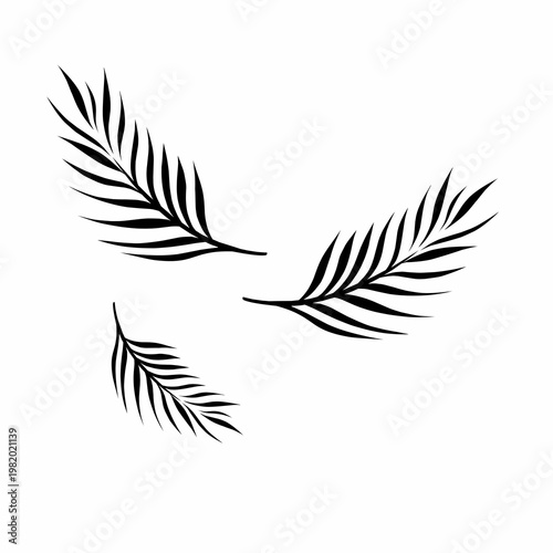 Minimalist Tropical Palm Leaf Set Vector, Botanical Black Leaf Collection, Simple Nature Elements