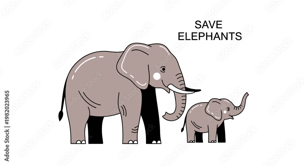 Fototapeta premium Two grey elephants standing together.