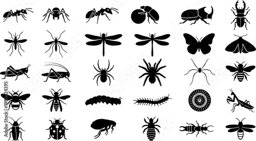 Savanna Insect Icons. Savanna Insects. Solid icon set of Savanna Insects: termite, dung beetle, mosquito, dragonfly, butterfly, ant, locust, grasshopper, 