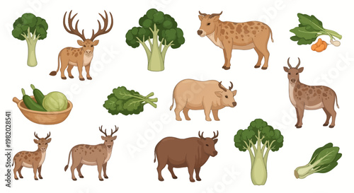 Deer and broccoli set vector illustration for food and wildlife themes