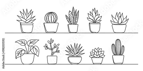 A collection of ten different potted houseplant illustrations arranged on two simple wooden shelves Vector, illustration