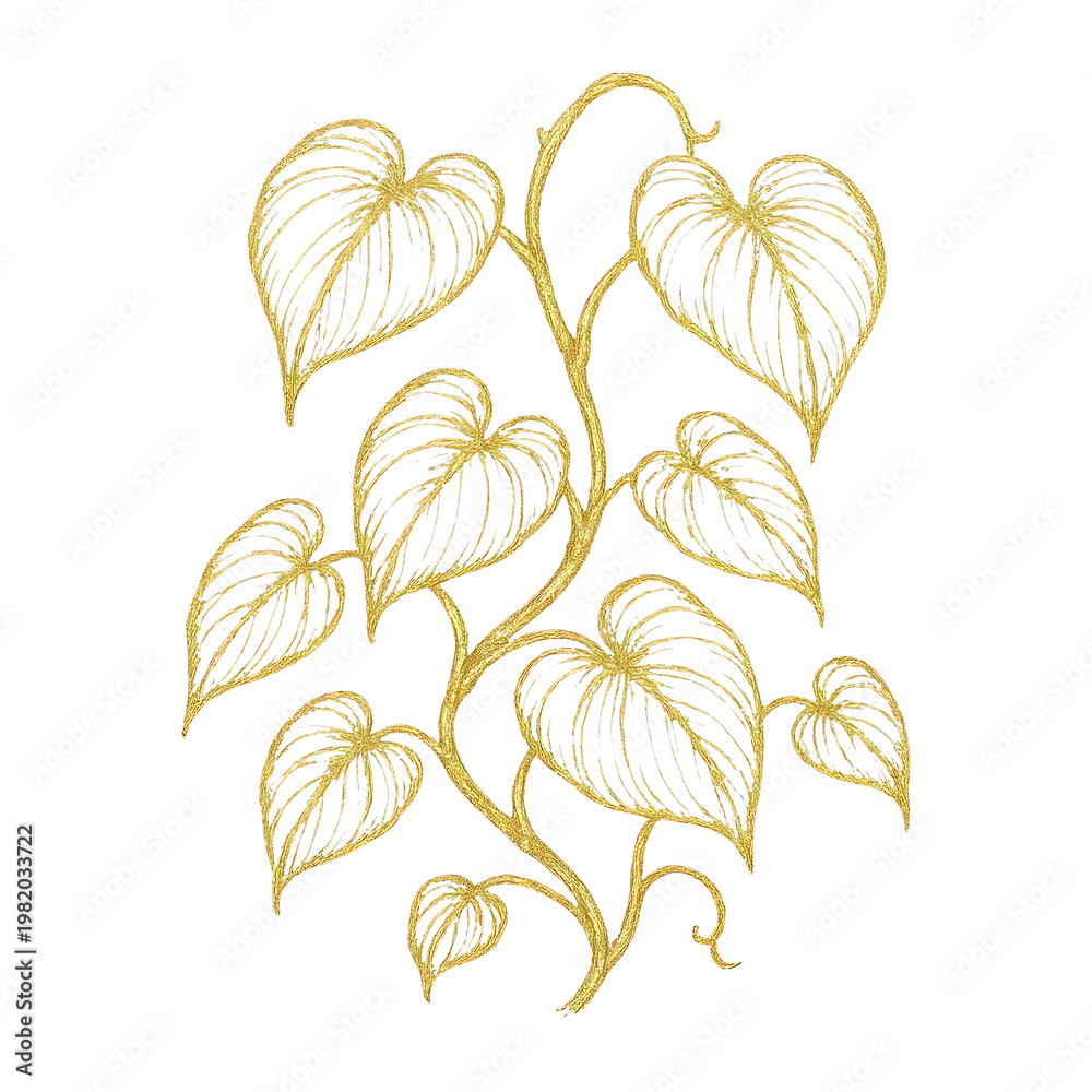 Fototapeta premium PNG Elegant gold leaf illustration design.