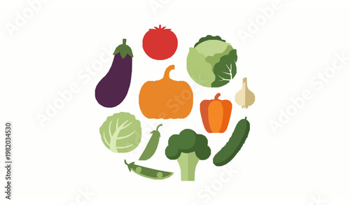 Vegetable circle composition flat vector organic food set eggplant tomato broccoli cucumber