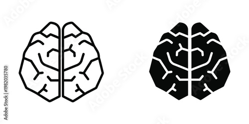 Contrasting representations of human brain hemispheres with different visual styles