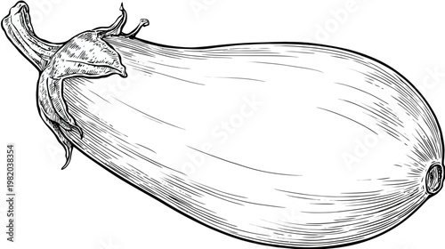 Detailed ink drawing of an eggplant with stem and striations