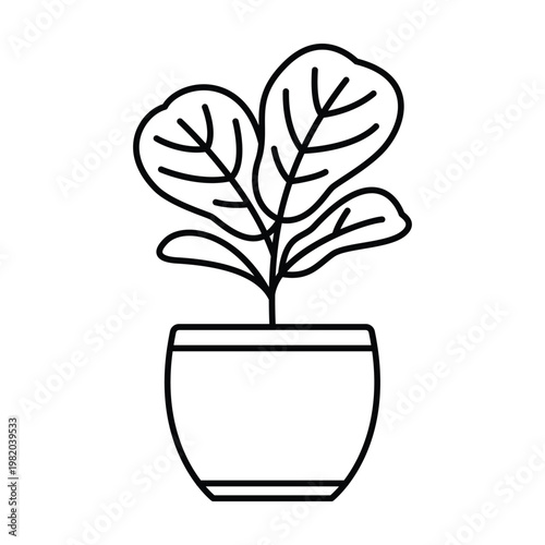 Fiddle leaf fig plant in pot minimalist line art icon