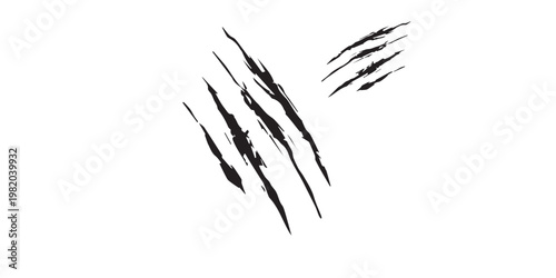 Black Claw Marks on White Background.