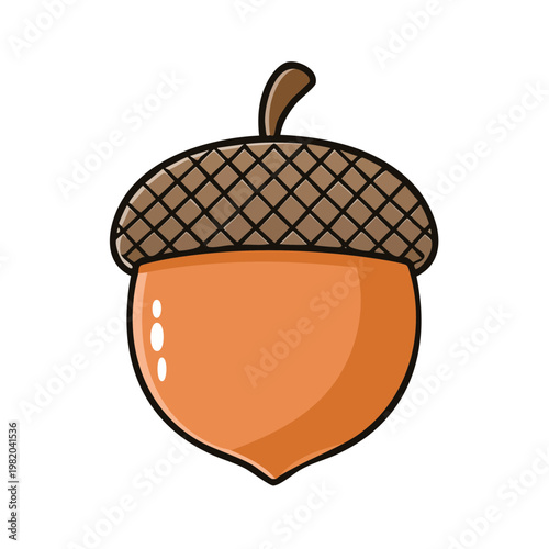 Cute cartoon acorn illustration with textured cap and simple stem