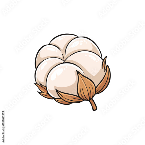 Stylized illustration of a fluffy white cotton boll with brown sepals and stem