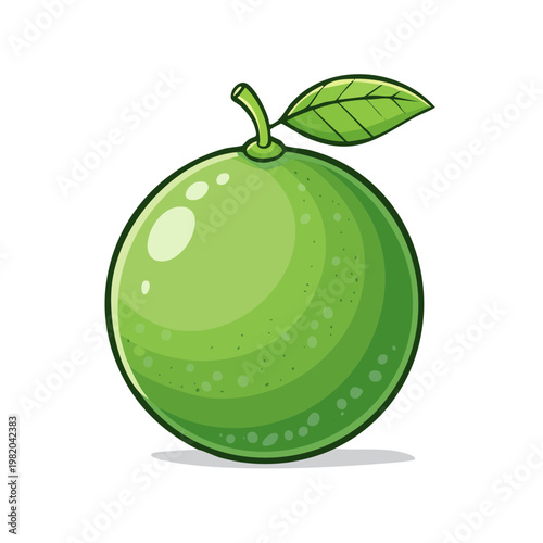 Vibrant Green Lime Fruit with Leaf and Stem Cartoon Illustration