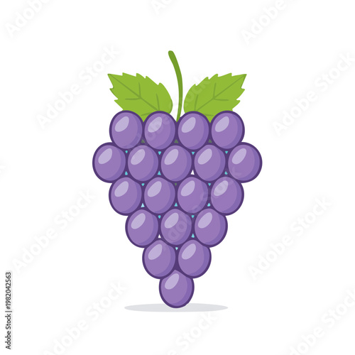 Vibrant Bunch of Purple Grapes with Green Leaves and Stem Isolated on White