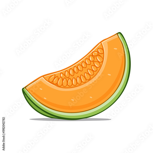 A vibrant slice of cantaloupe melon with bright orange flesh and green rind illustration