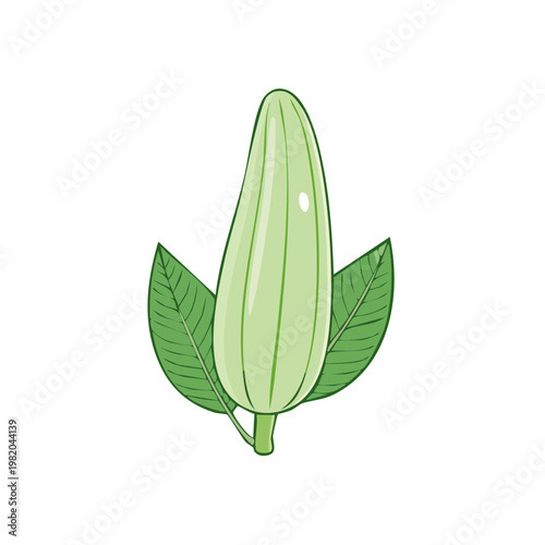 Green flower bud with two leaves, illustration of unopened bloom and foliage