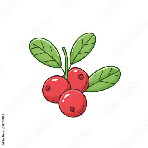Red Lingonberries with Green Leaves Illustration