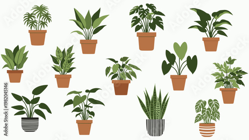 Diverse set of indoor potted plants featuring various species of foliage and leaf shapes in different decorative ceramic containers.