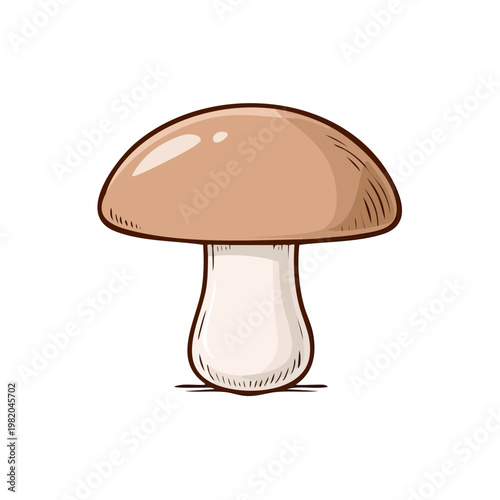 Hand-drawn illustration of a single brown mushroom with a white stem
