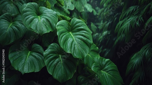 Deep green foliage creates a lush, moody botanical background.