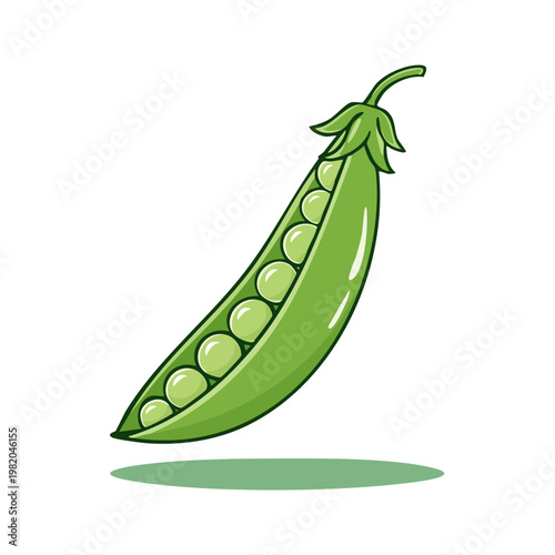 A fresh green pea pod bursting with healthy round peas illustration