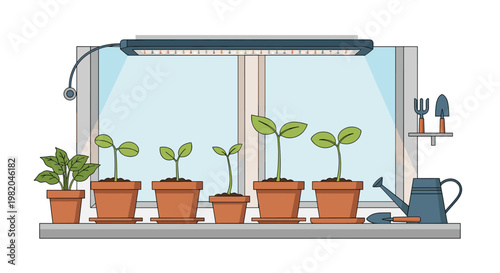 Indoor gardening scene with young green seedlings in pots growing under an artificial light lamp on a windowsill.