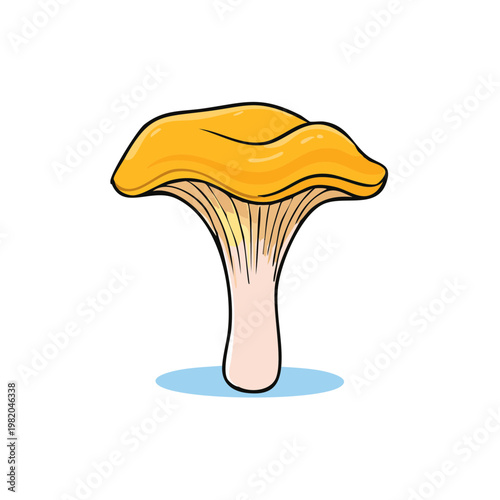Vibrant Yellow Chanterelle Mushroom Illustration Isolated on White Background