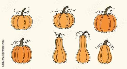 Assortment of seven differently shaped orange pumpkins with curly vines for autumn harvest and halloween decorations.