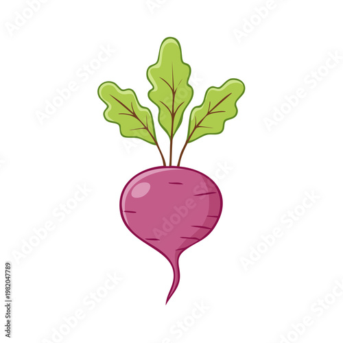 Cartoon illustration of a single beet with green leaves isolated on white