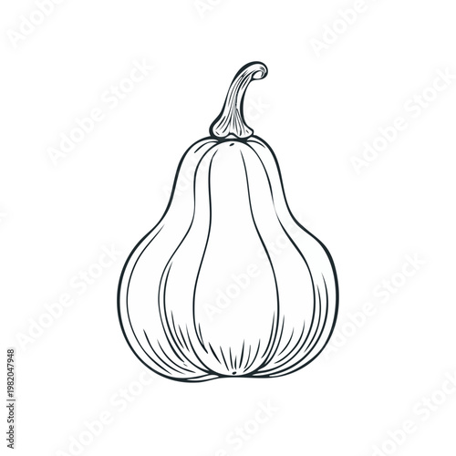 Outline drawing of a single ornamental gourd with vertical ridges and a curved stem