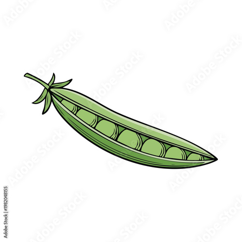 Open pea pod with plump, green peas inside, simple illustration
