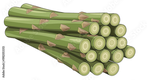 Fresh green asparagus stalks bundle