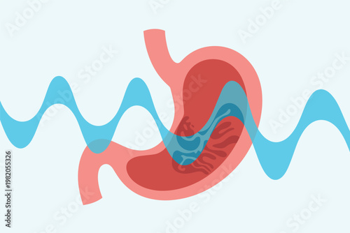 Stomach Digestion Waves Illustration Vector Health Concept