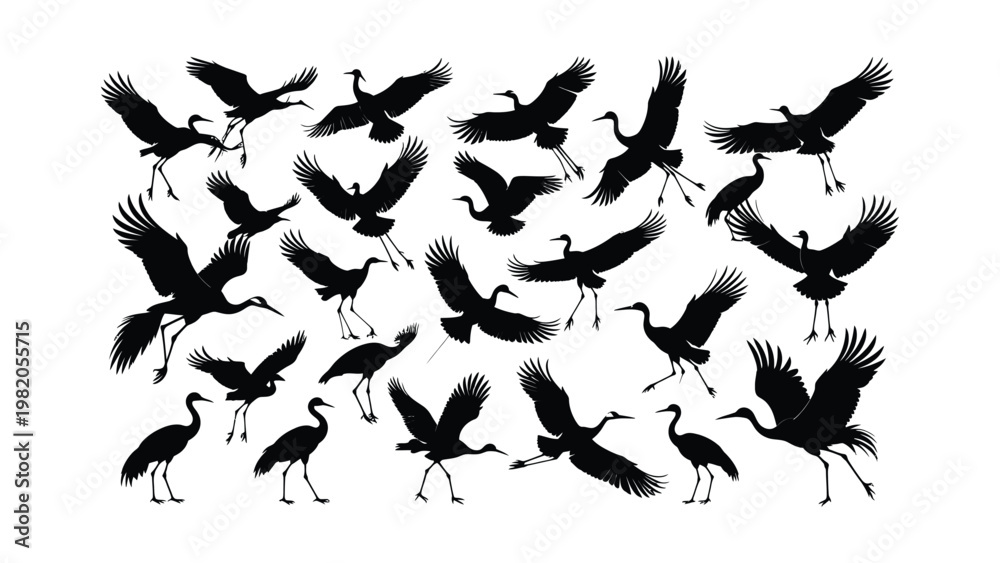 Fototapeta premium Silhouette of flying cranes in formation.
