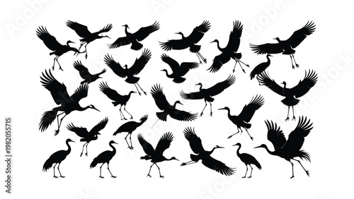 Silhouette of flying cranes in formation.