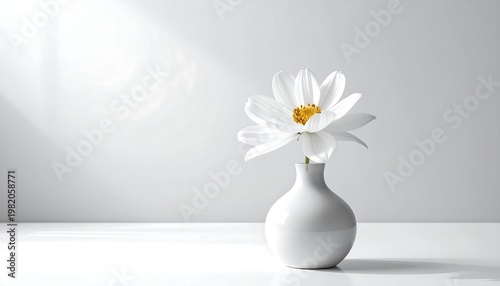 Single white blossom in a small vase on white surface against soft gray background with light