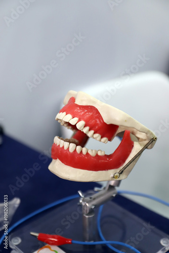 dentadura dental prótesis
